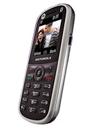 Motorola WX288 caracteristicas tecnicas