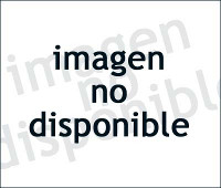 ZTE Light Tab 300 caracteristicas tecnicas