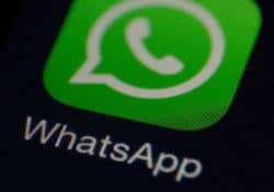 Como recuperar mensajes, audios, videos borrados de whatsapp en android y en iPhone