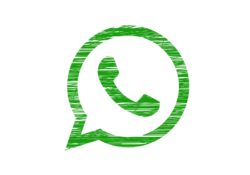 Como ver la última hora de conexión de un contacto de whatsapp